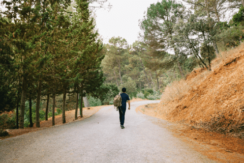 nearby Trails Person walking alone on a paved path through a forested area. The individual is carrying a backpack and is surrounded by tall trees on either side of the path. The scene is peaceful and natural, with a mix of green foliage and brownish-orange ground cover.